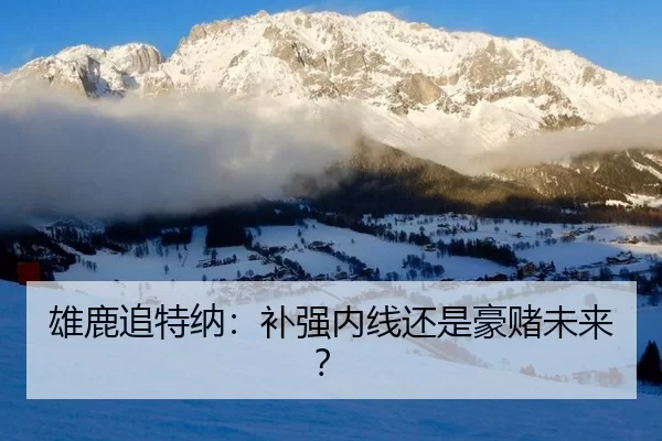 雄鹿追特纳：补强内线还是豪赌未来？ | kaiyun
